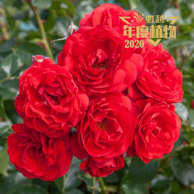 welcome ¼ں졯