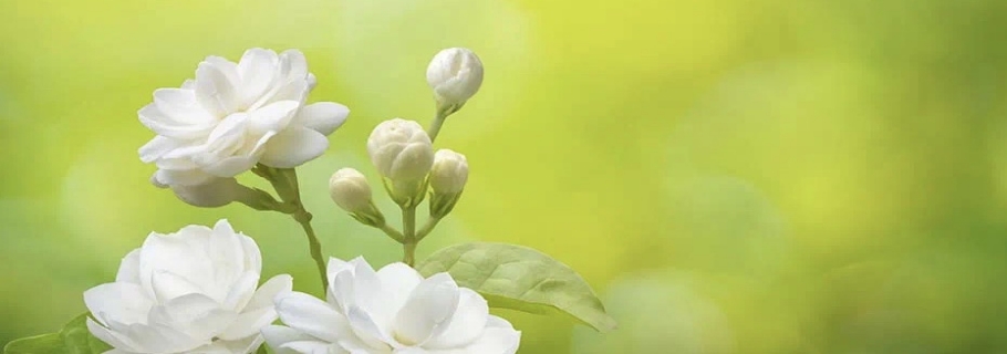 һЩϲǲ֪