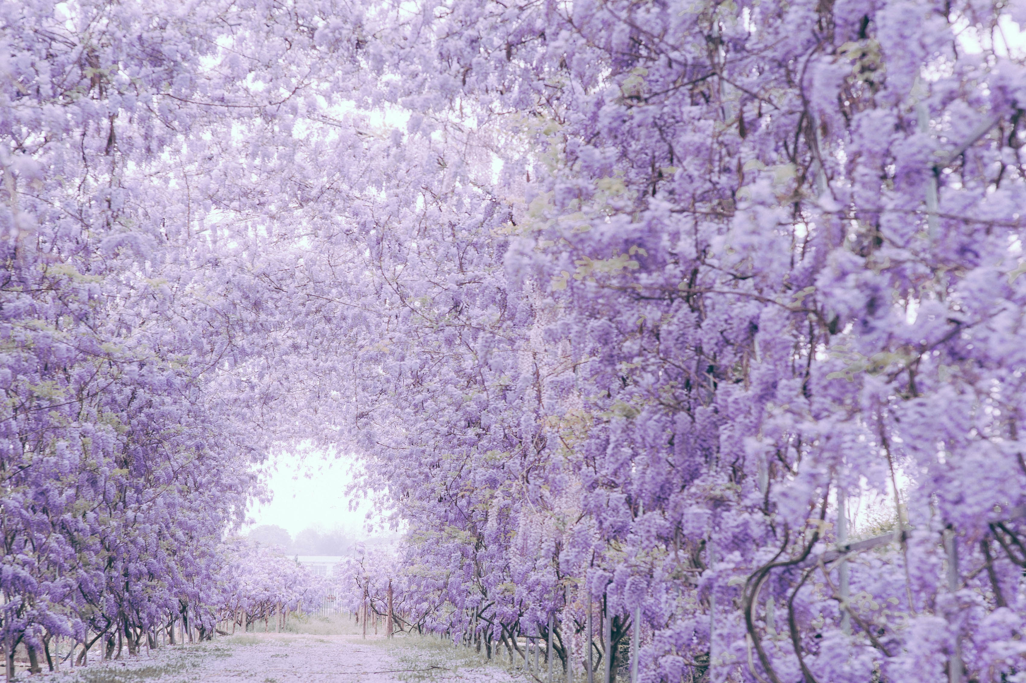 ˹һϼĴ