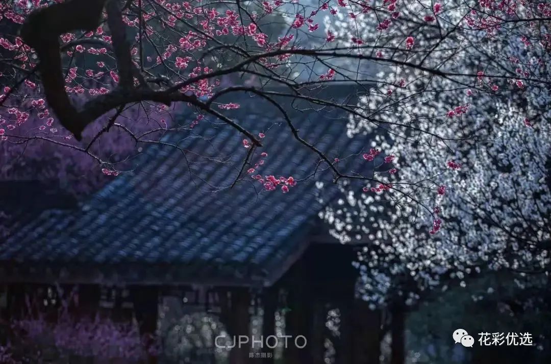 ⼸ֲֻ춼Ƿʢ˼ˣ